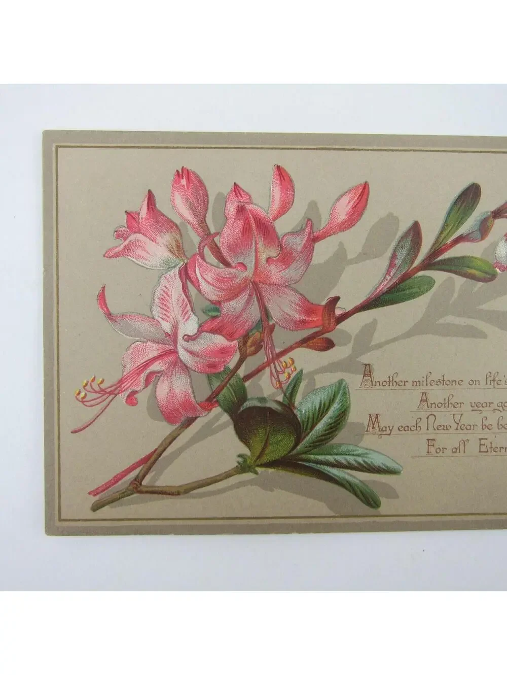 Victorian Greeting Card New Years White & Pink Azalea Flowers Branch Antique